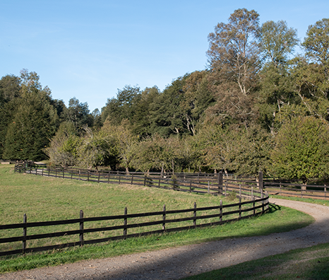 Caminos