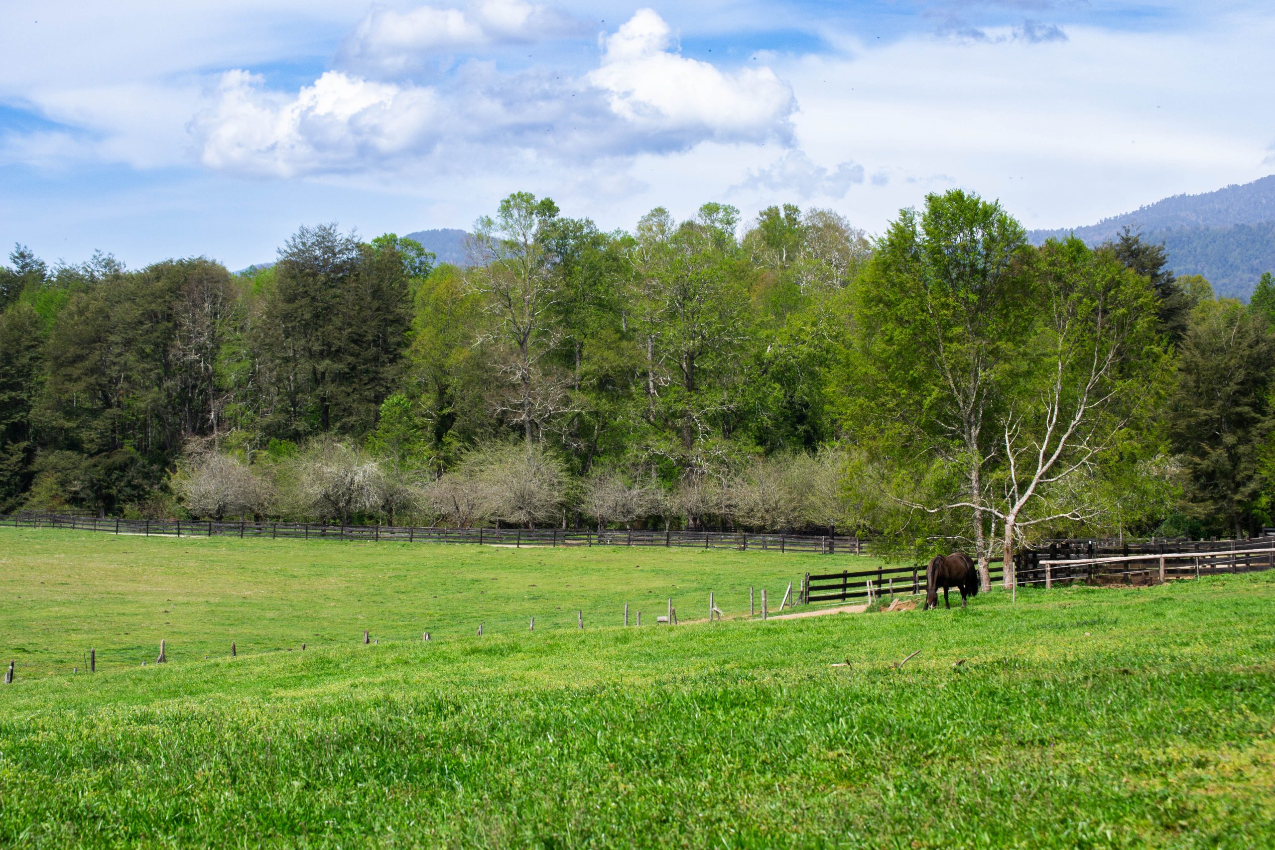 DSC_0474